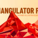 Triangulator Pro Script